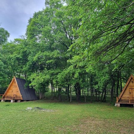 Wolf & Sheep Nature & Adventure Podgorica Bagian luar foto