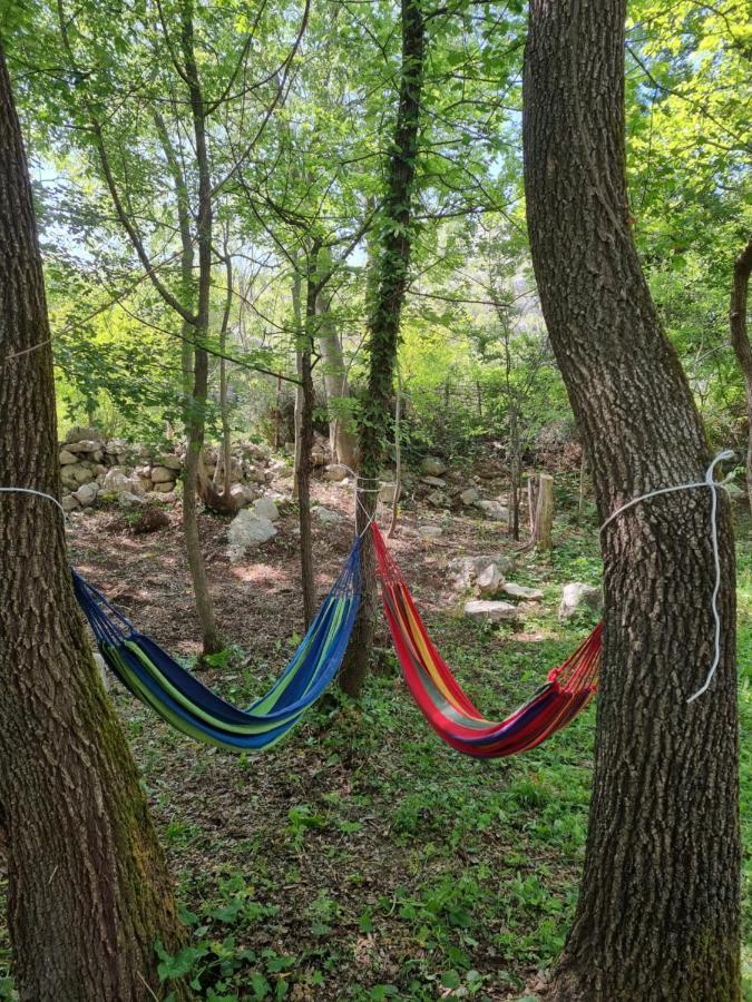 Wolf & Sheep Nature & Adventure Podgorica Bagian luar foto