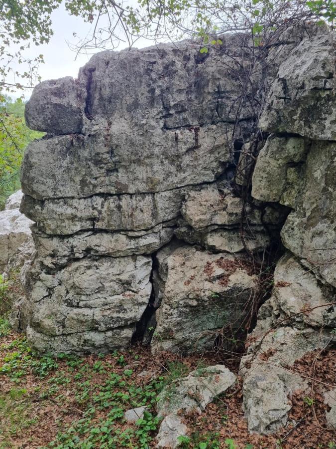 Wolf & Sheep Nature & Adventure Podgorica Bagian luar foto