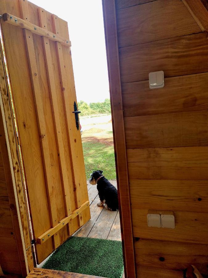 Wolf & Sheep Nature & Adventure Podgorica Bagian luar foto