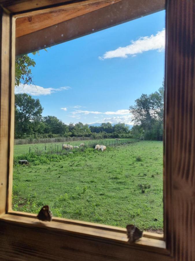 Wolf & Sheep Nature & Adventure Podgorica Bagian luar foto