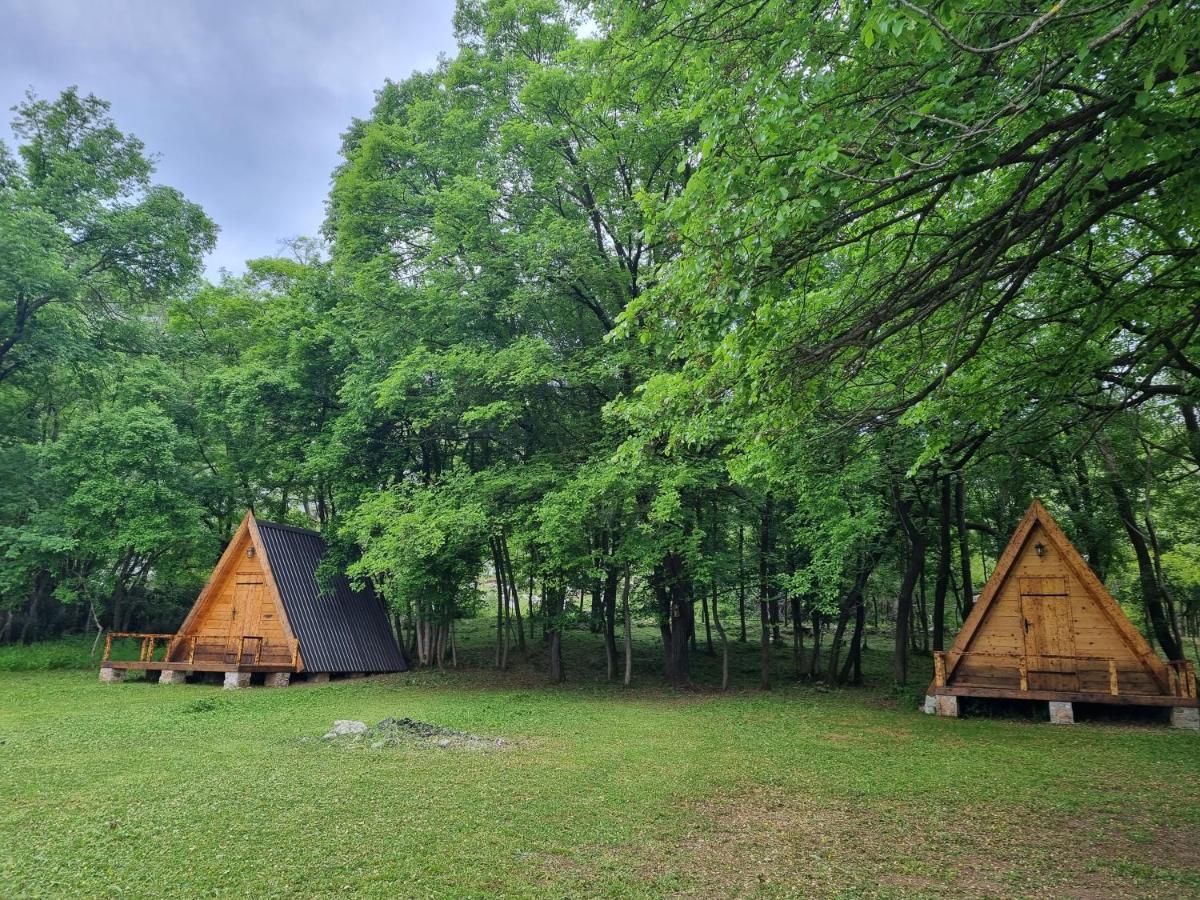 Wolf & Sheep Nature & Adventure Podgorica Bagian luar foto